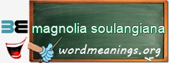 WordMeaning blackboard for magnolia soulangiana